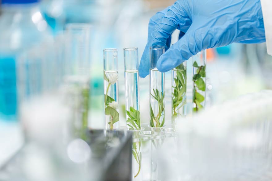 Die Arbeitslosenquote ist bei den Absolventen der Naturwissenschaften mit 8,3 Prozent am höchsten