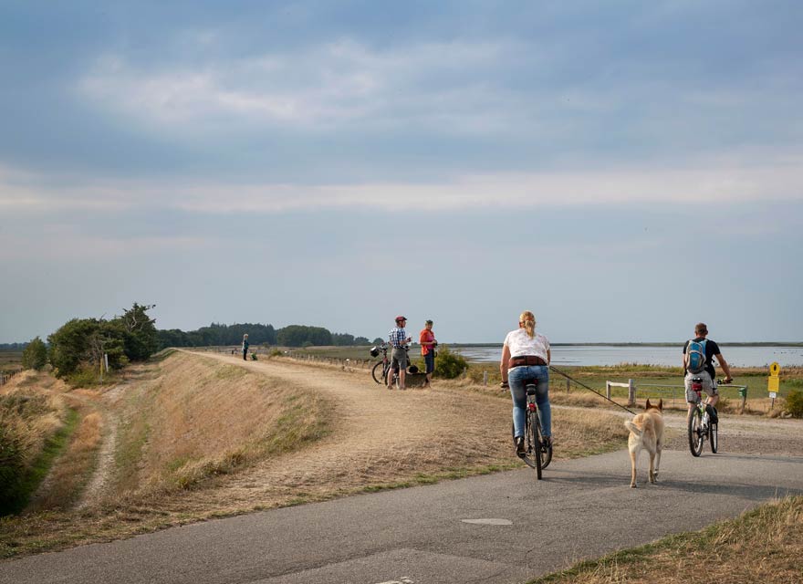 Aktivurlaub an der Ostsee mit Kindern auf Fehmarn