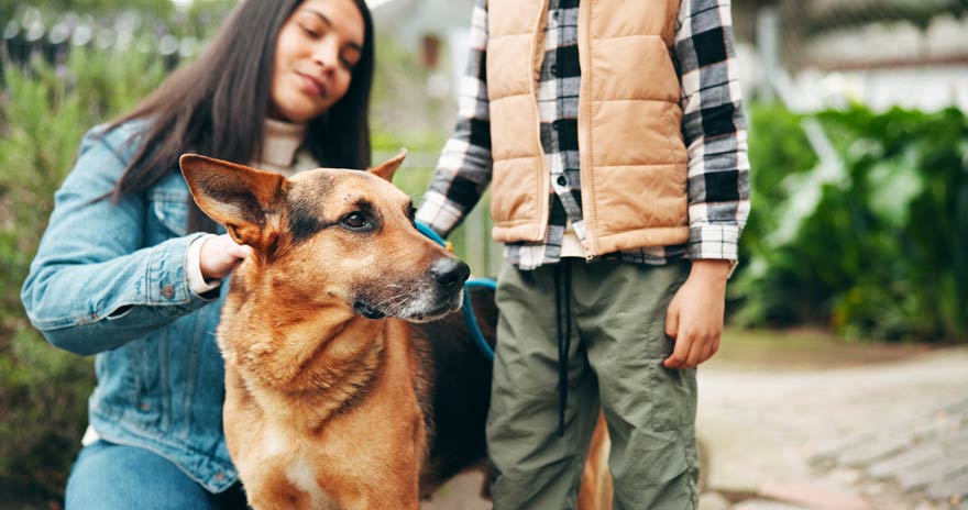 Kinder vorsichtig an das Thema Tiere heranführen